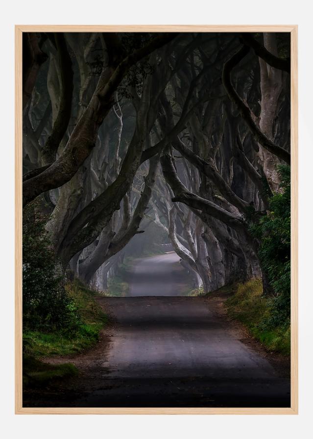 The Dark Hedges Magic road Poster