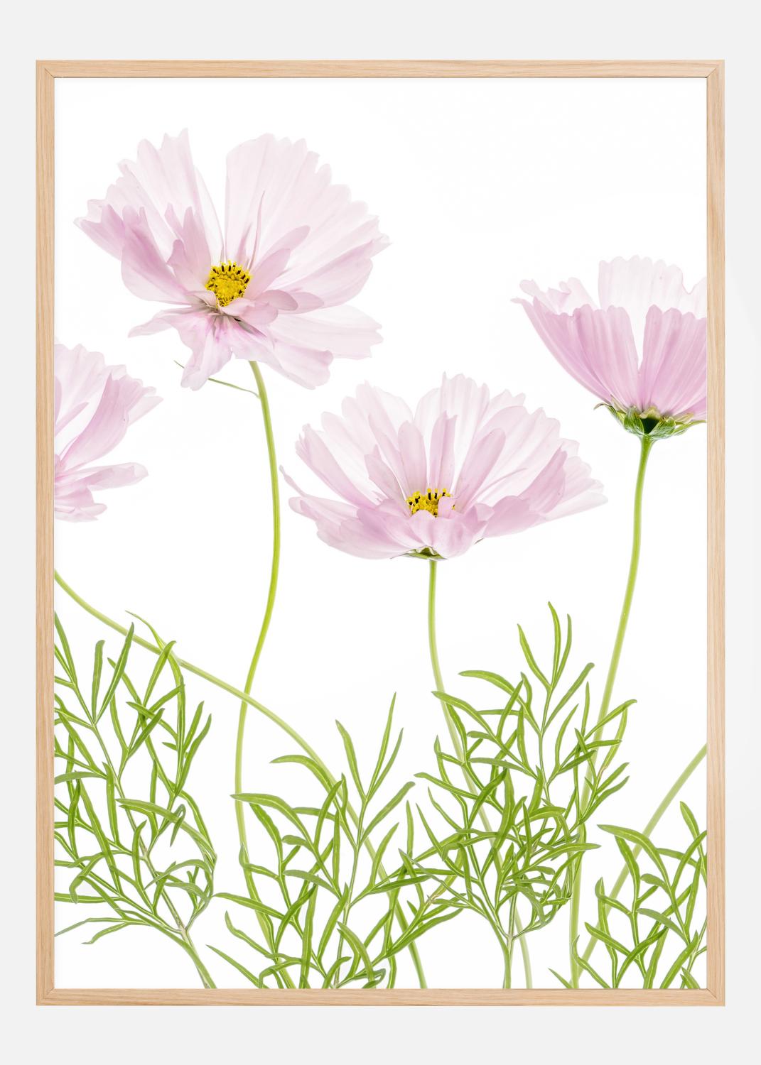 Product Image for Cosmos Cupcake Poster (21x29,7 cm (A4))