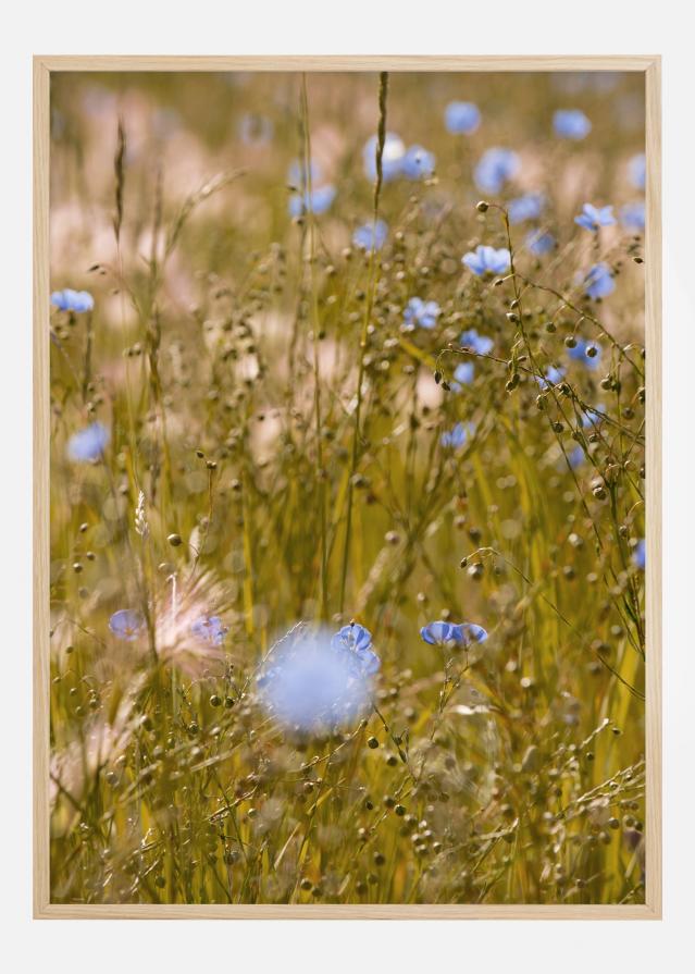 Summer Fields I Poster