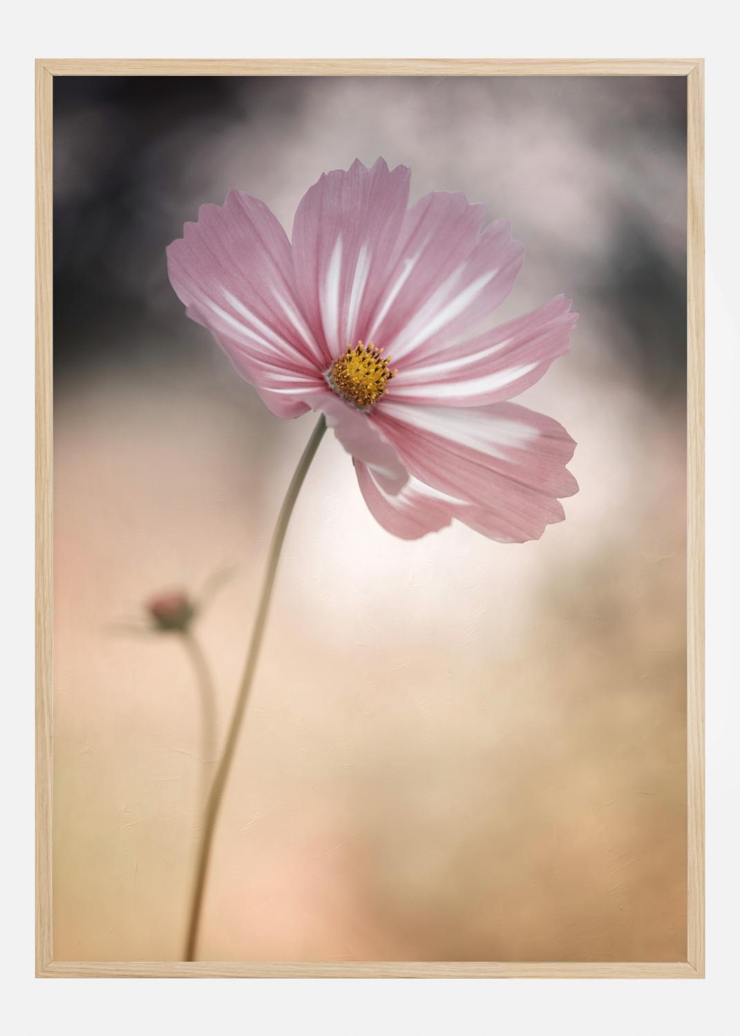 Product Image for Cosmos Poster (21x29.7 cm (A4))