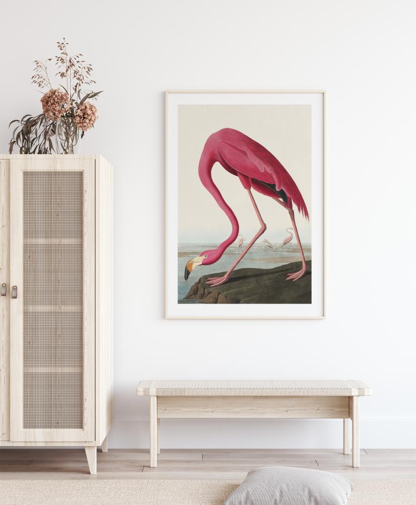 American Flamingo Poster