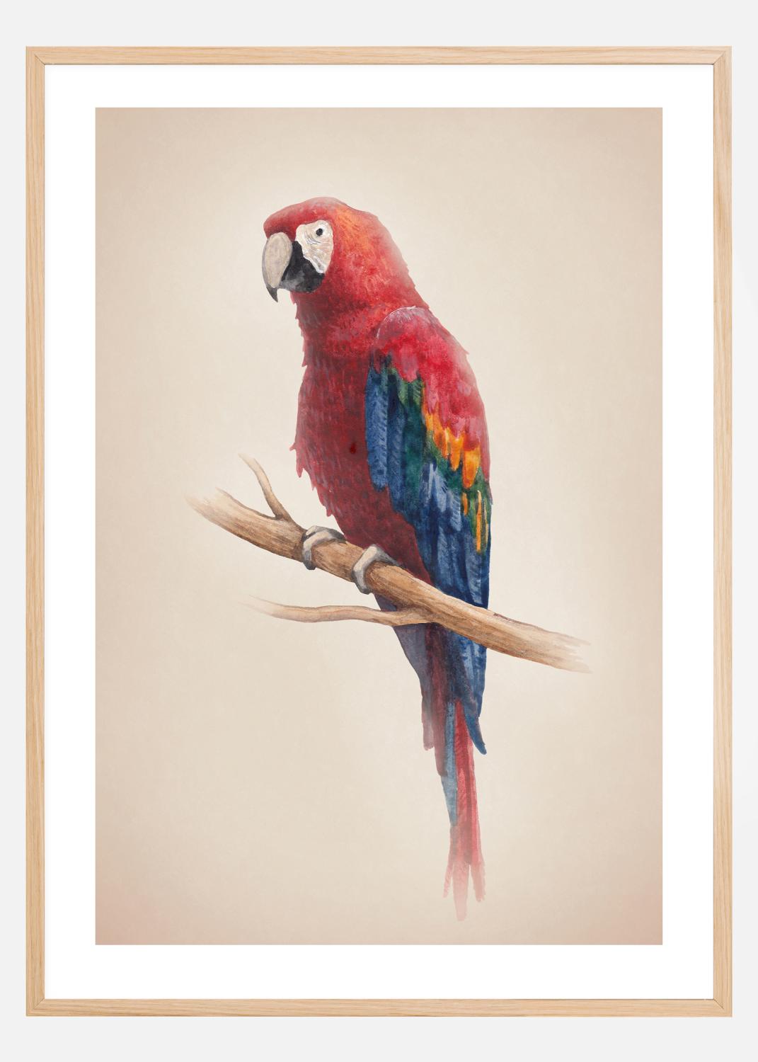Product Image for Tropical Parrot Poster (21x29,7 cm (A4))
