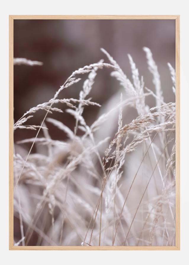 Straws in a field Poster