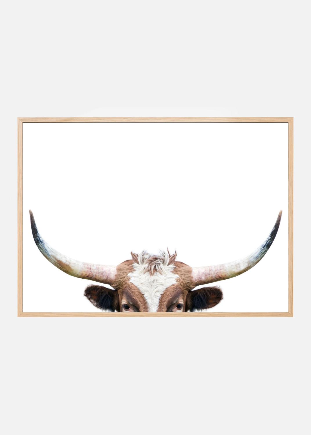 Product Image for Peeking Longhorn Cow Poster (60x90 cm)