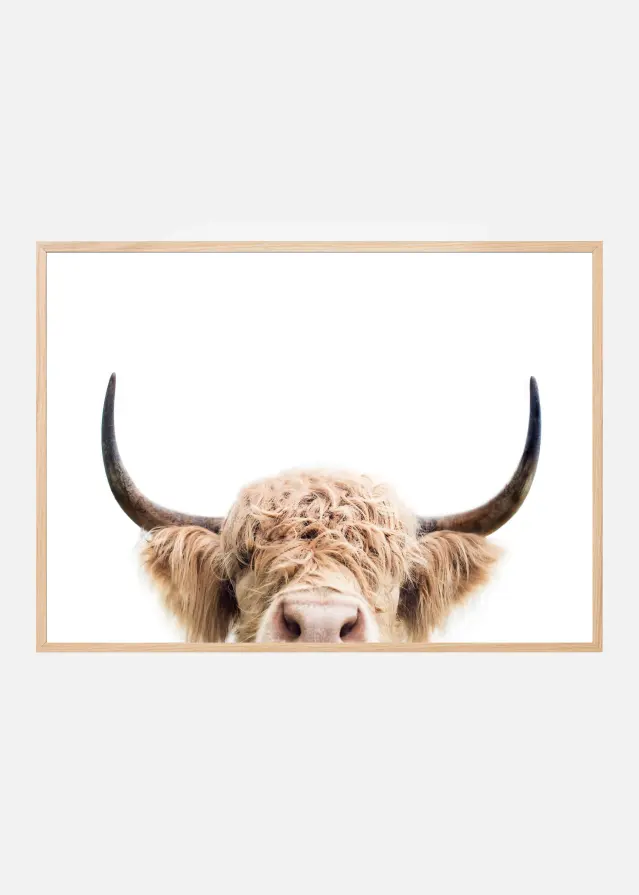 Peeking Cow Poster