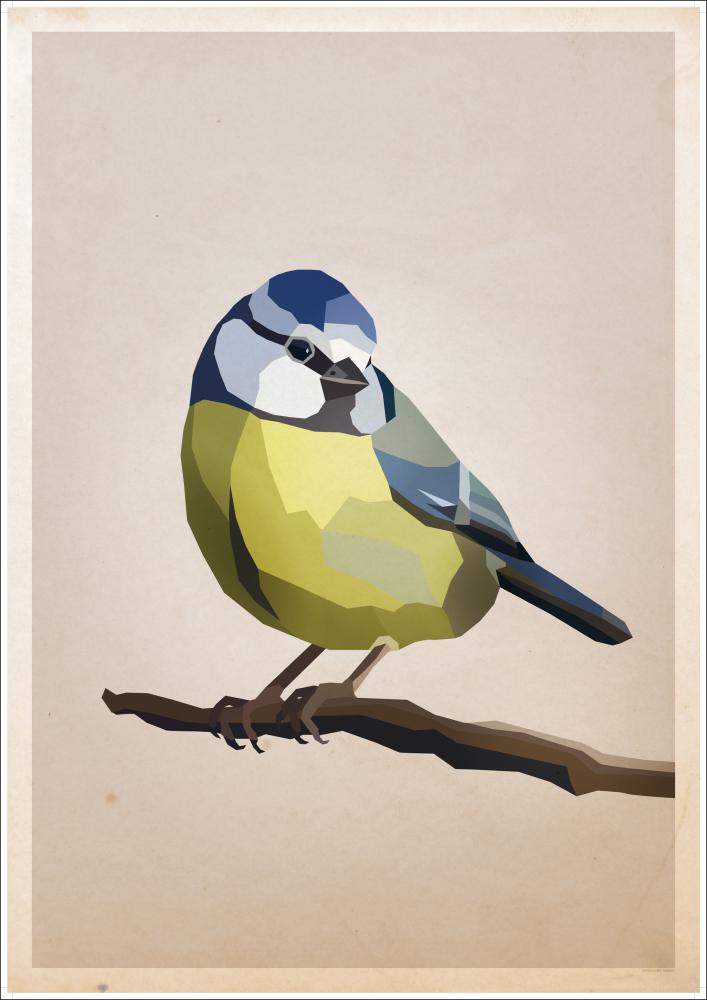 Blue tit Poster