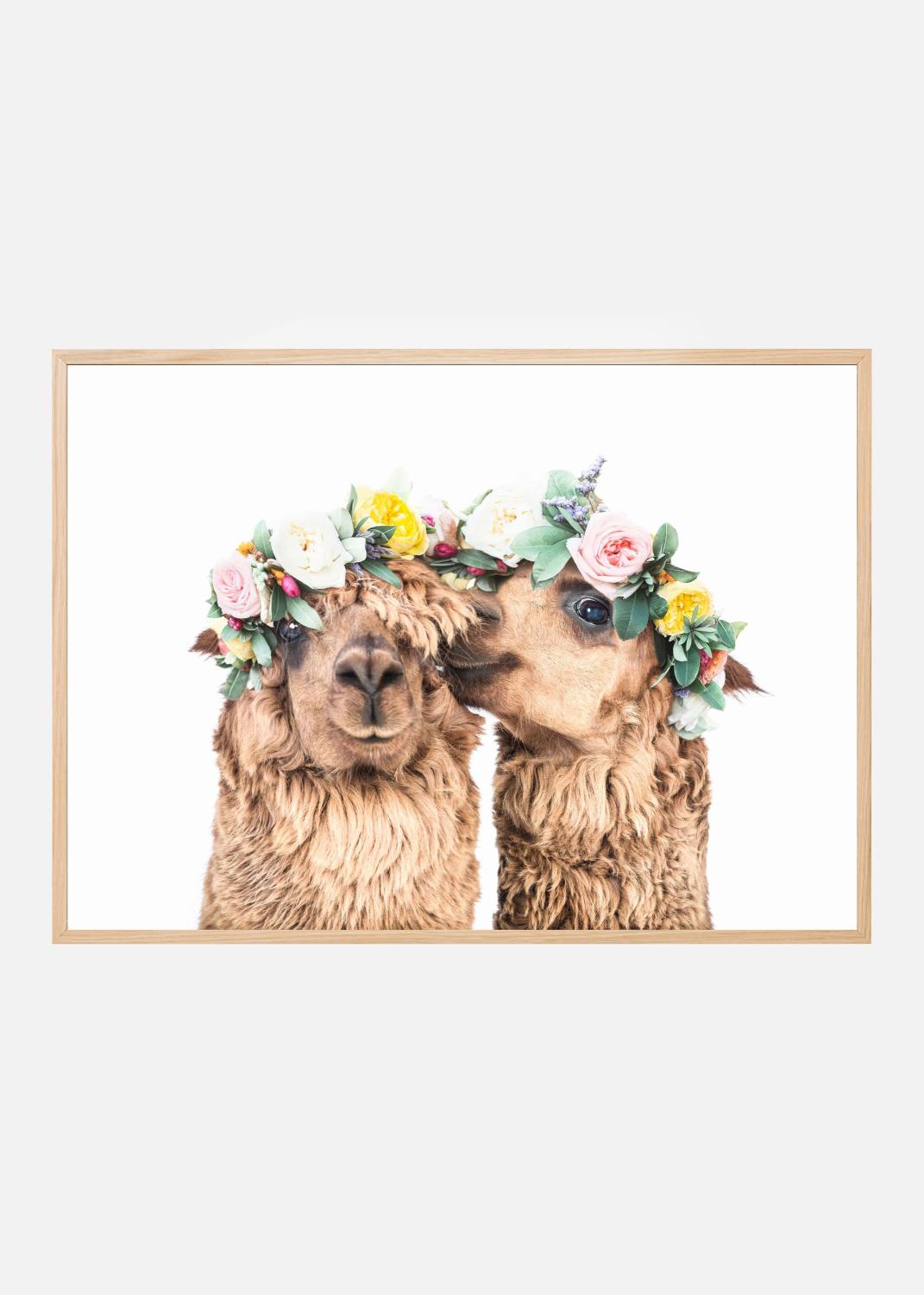Product Image for Boho Alpacas Poster (70x100 cm)