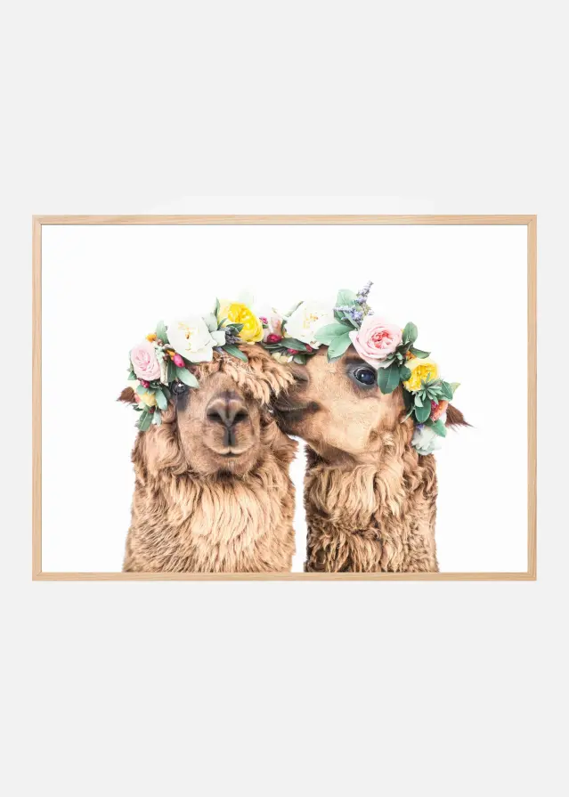 Boho Alpacas Poster