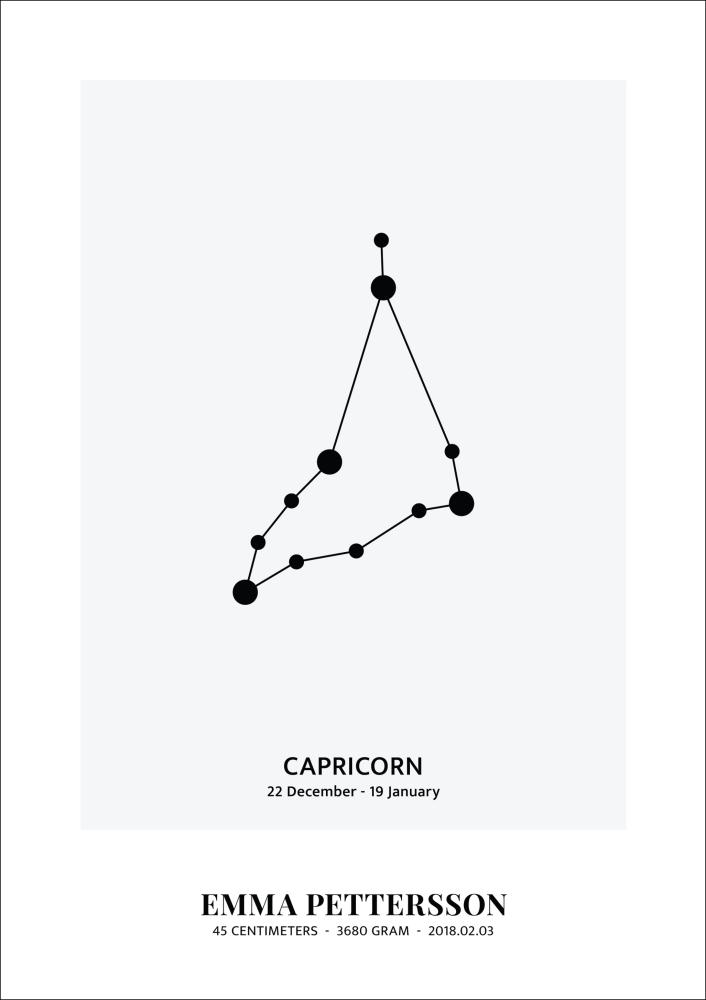 Capricorn - Star Sign