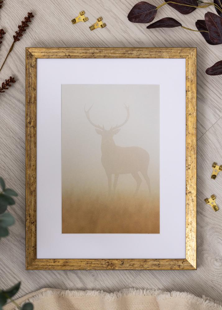 Cadre Dune Verre acrylique Or 21x29,7 cm (A4)