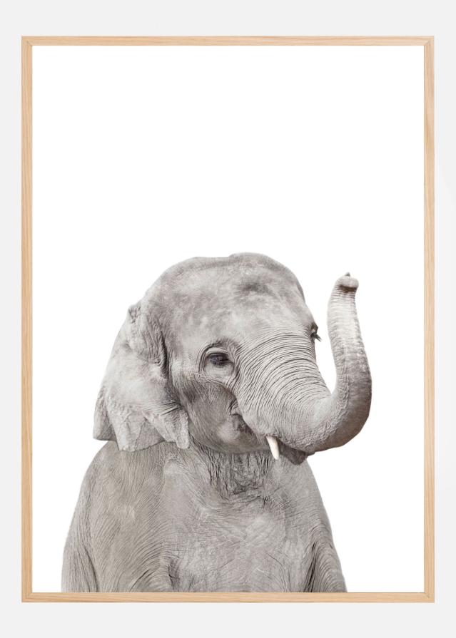 Baby Elephant Poster