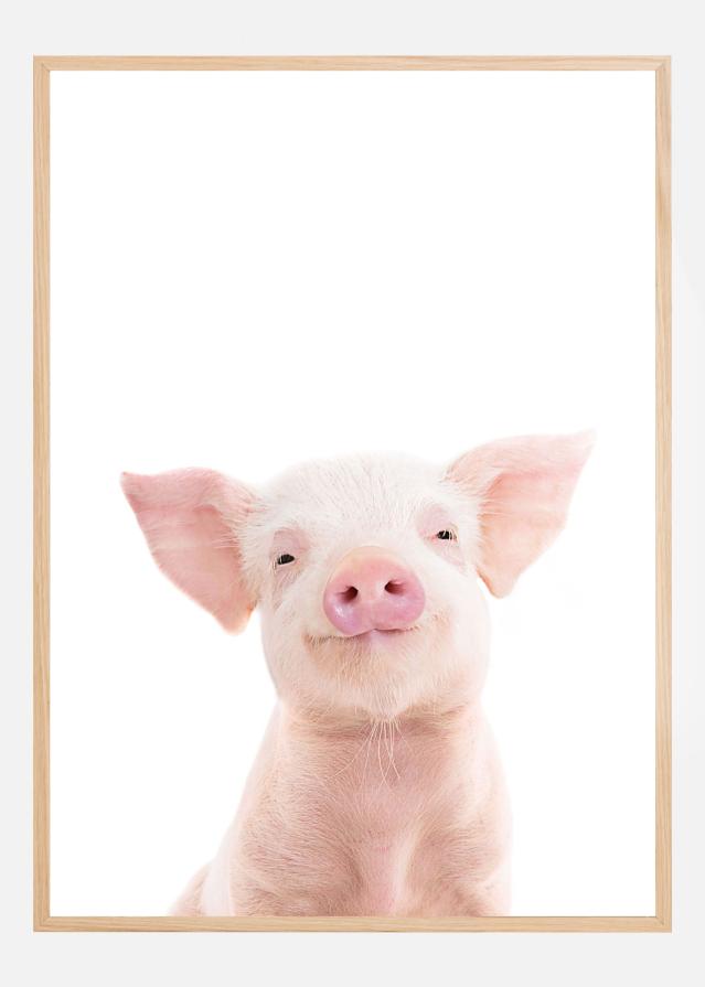 Baby Pig Poster