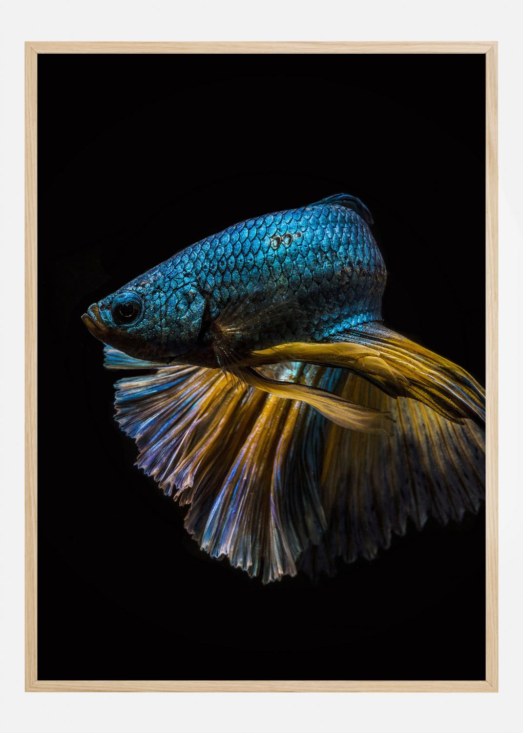 Product Image for Half turn Poster (21x29,7 cm (A4))