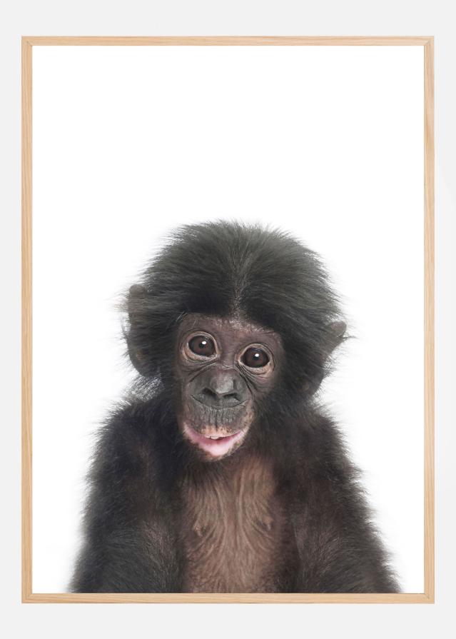 Baby Monkey Poster