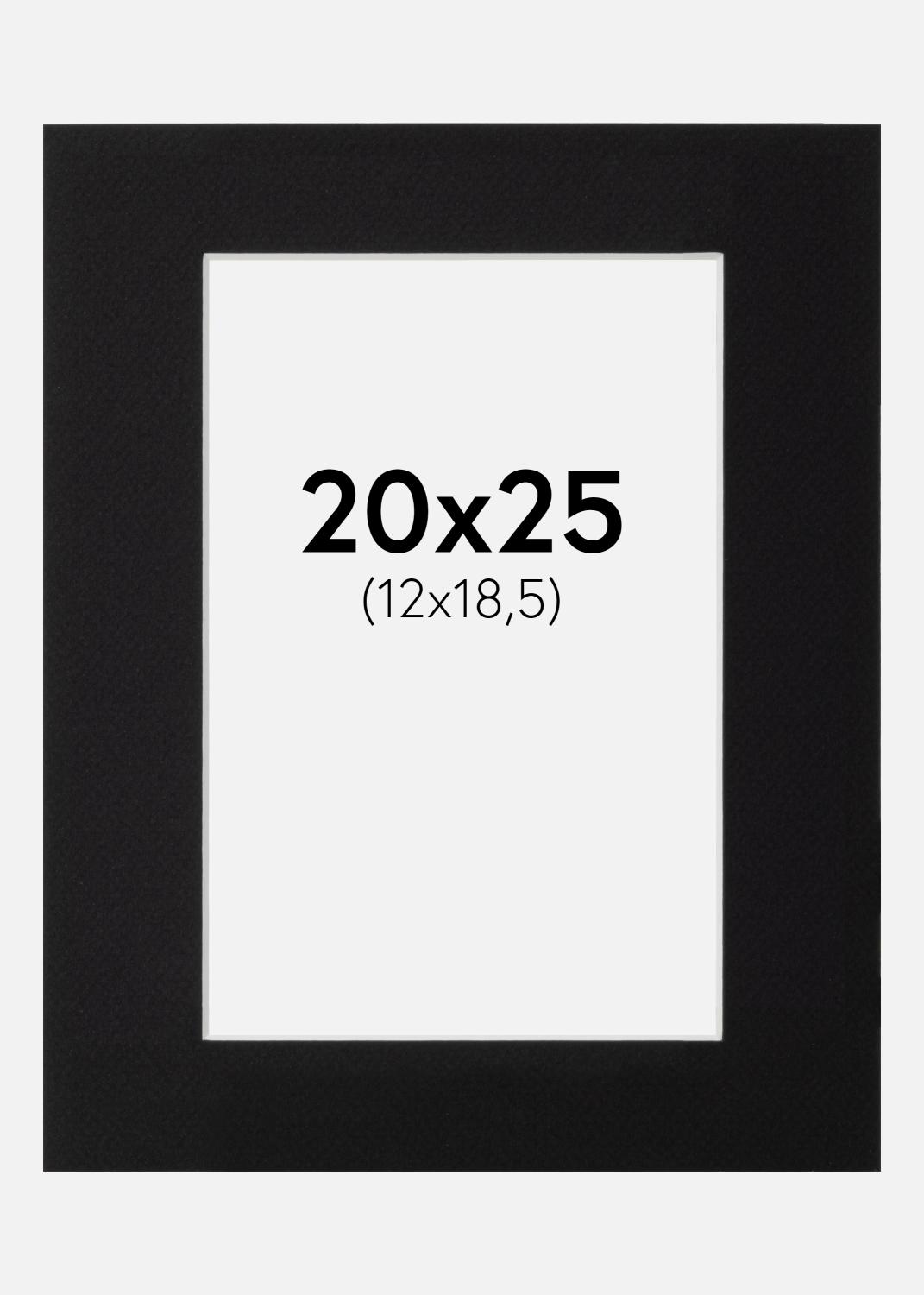 Product Image for Passe-partout Noir Standard (noyau blanc) 20x25 cm (12x18,5)