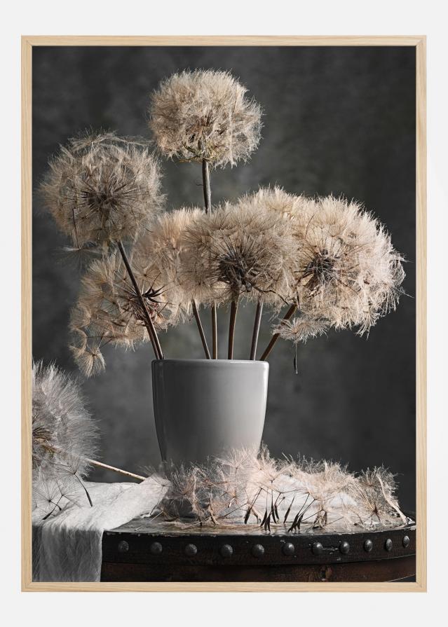 Dandelion Seed Pod Poster