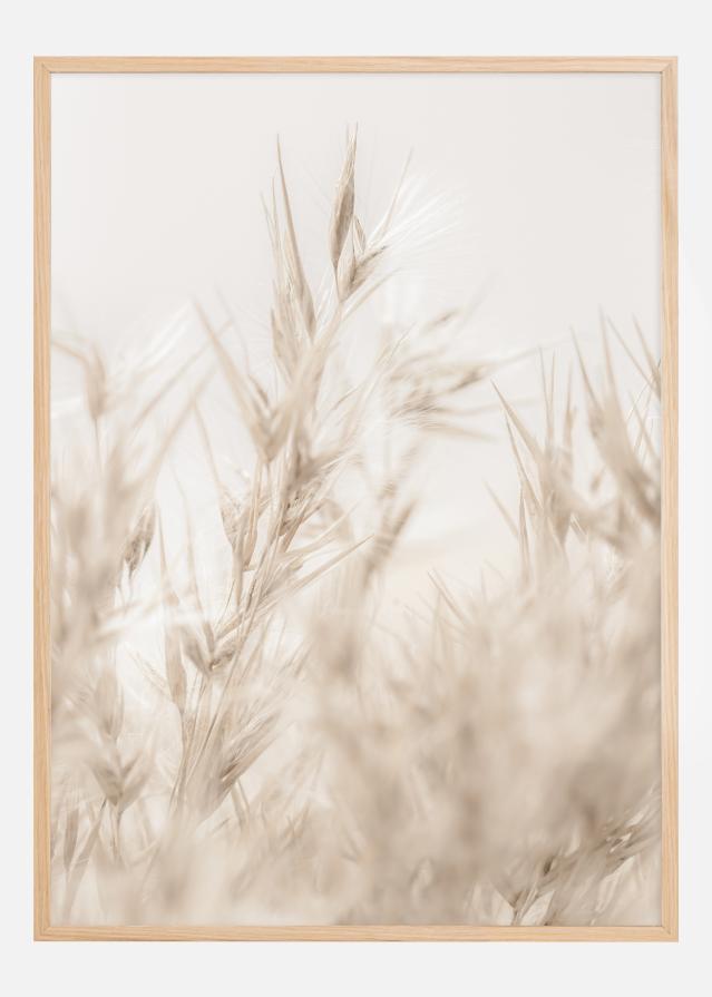 Beige Dried Straws ll Poster