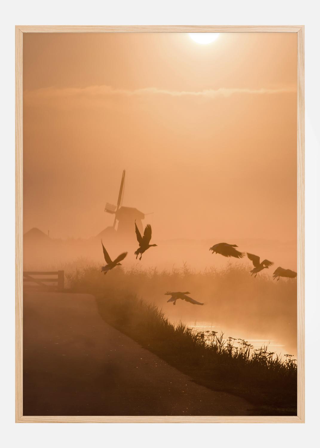 Product Image for Sunrise Flight Poster (21x29.7 cm (A4))