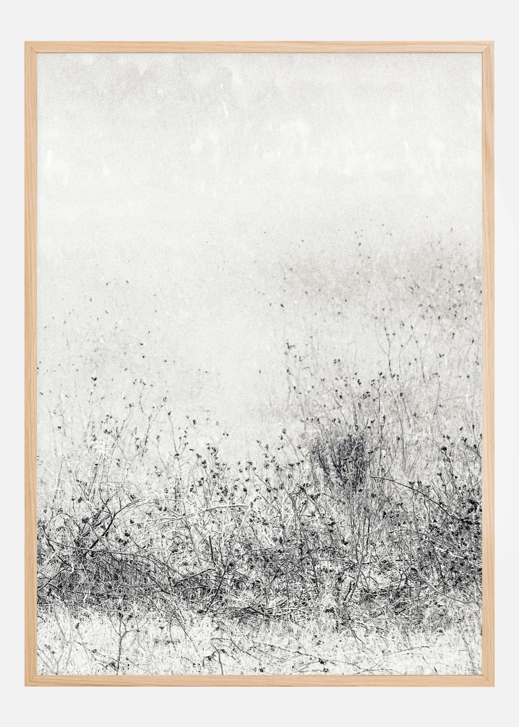 Product Image for The endless grassfields Poster (30x40 cm)