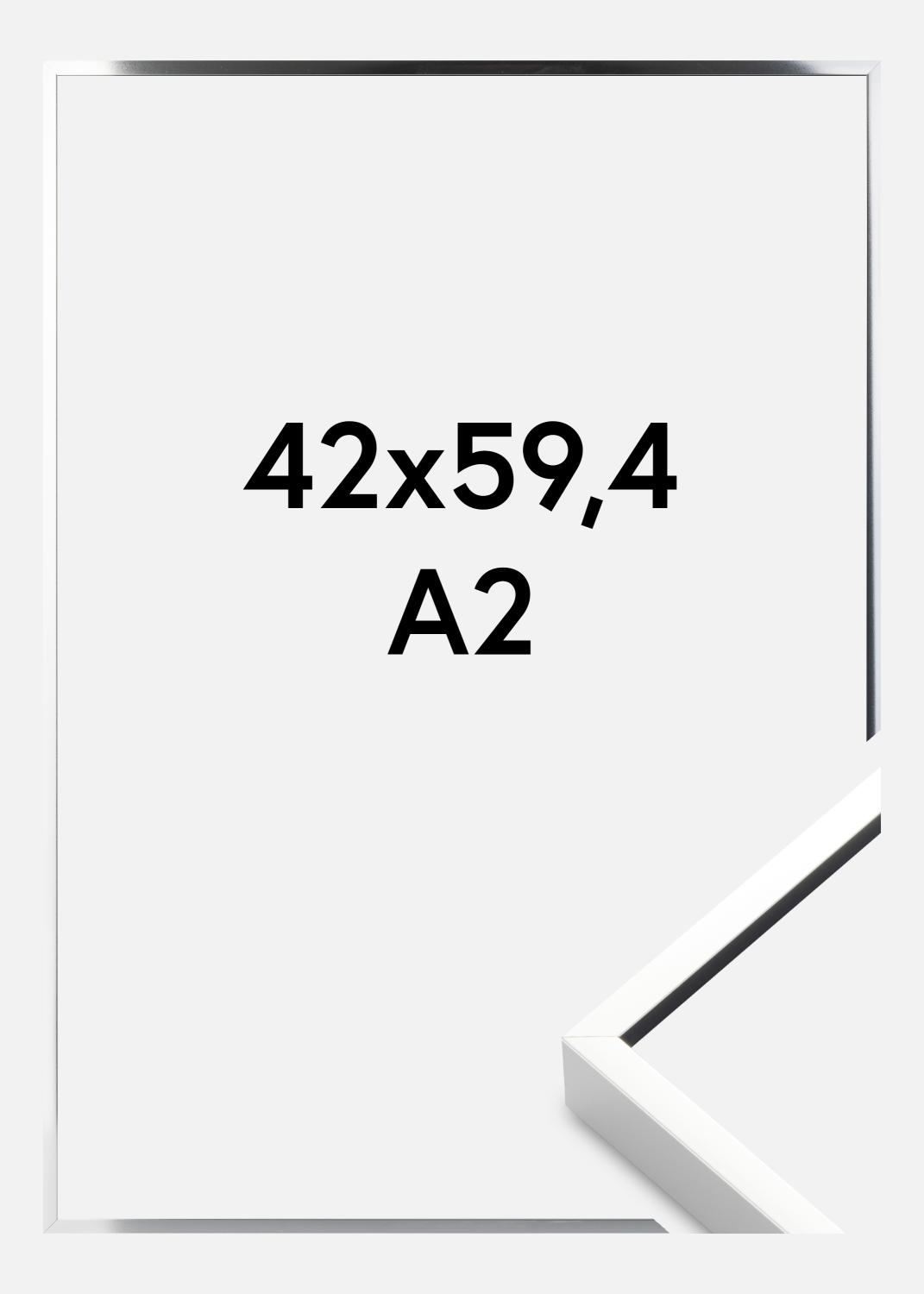 Product Image for Cadre Nielsen Premium Alpha Brillant Argent 42x59,4 cm (A2)