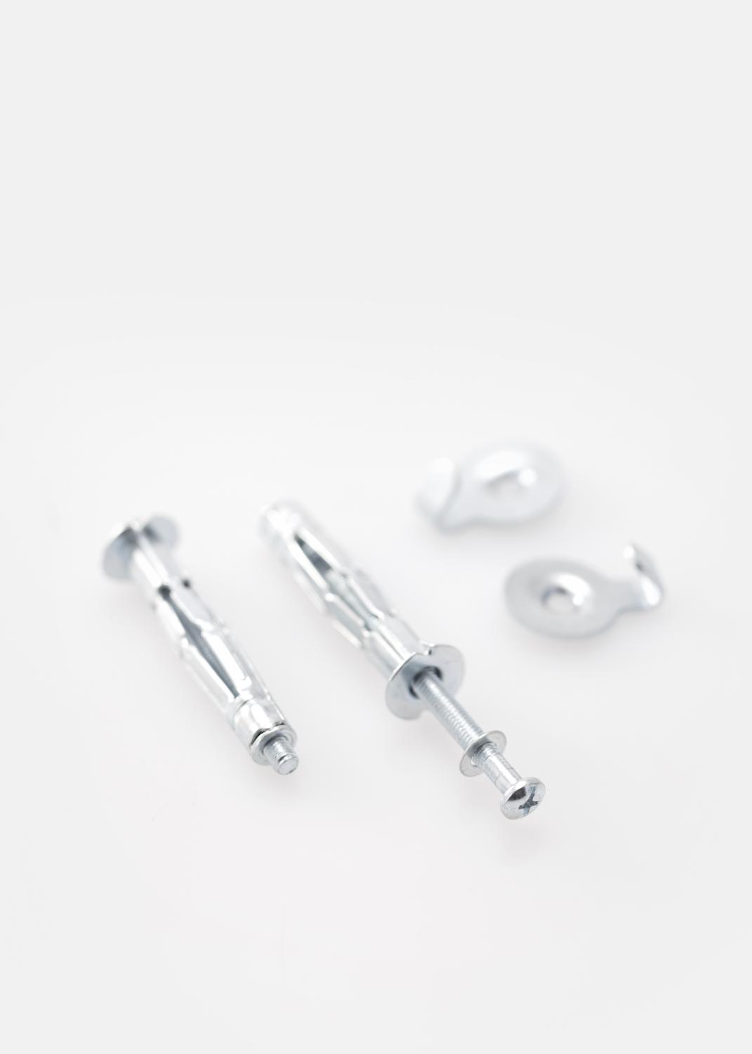 Product Image for Vis et cheville pour mur en plâtre 5 mm - lot de 2