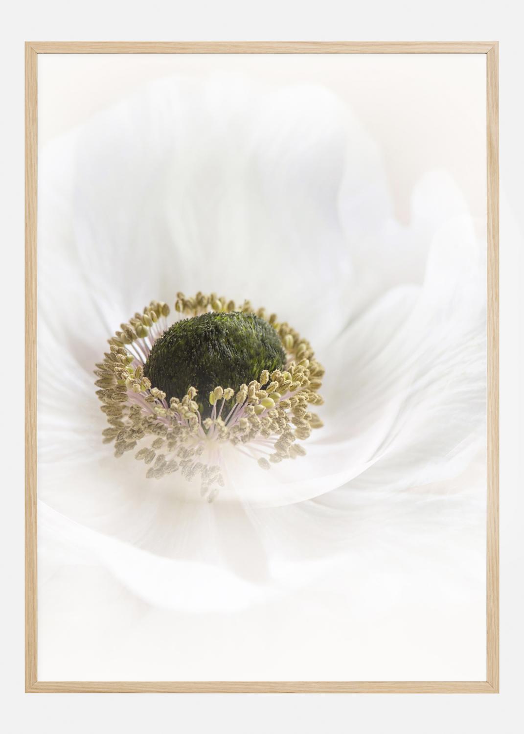 Product Image for Pure Poster (21x29,7 cm (A4))