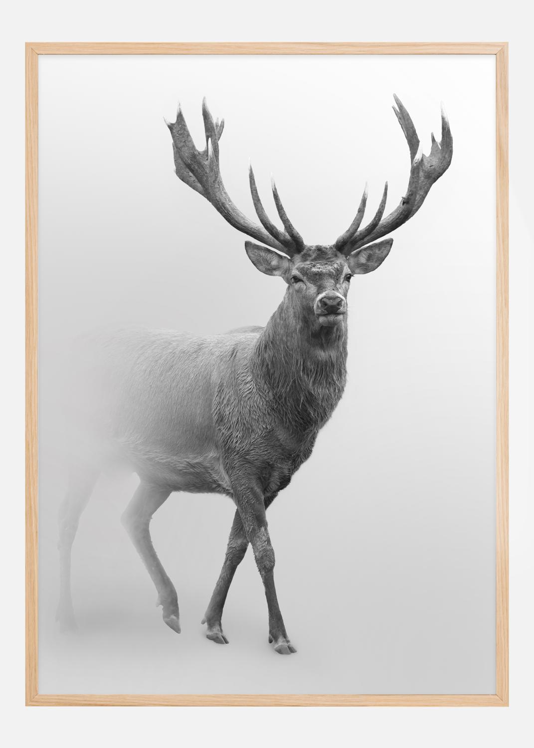 Product Image for Black and white Red deer Poster (21x29.7 cm (A4))