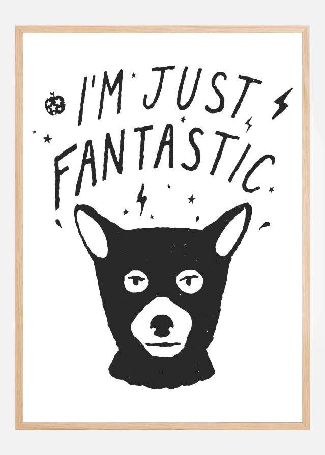 Im Just Fantastic Poster