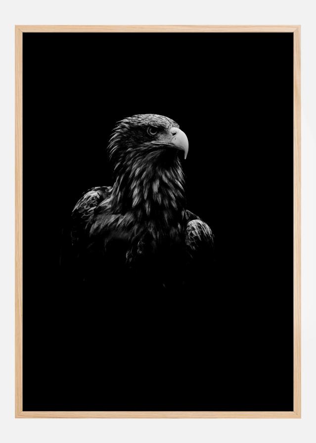 Black Eagle Poster