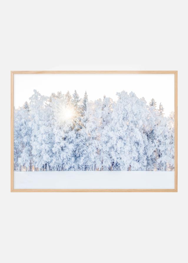 Winter light Poster