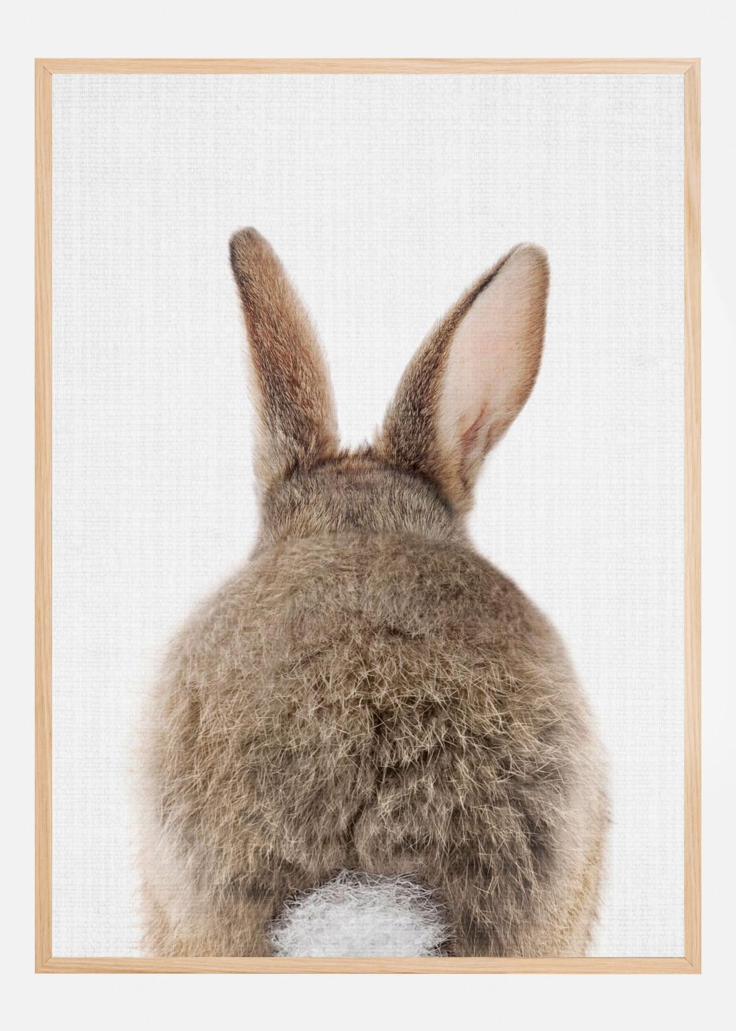 Product Image for Peekaboo Bunny Tail Poster (50x70 cm)