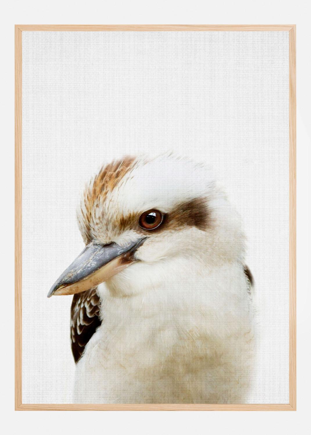 Product Image for Peekaboo Kookaburra Poster (21x29.7 cm (A4))