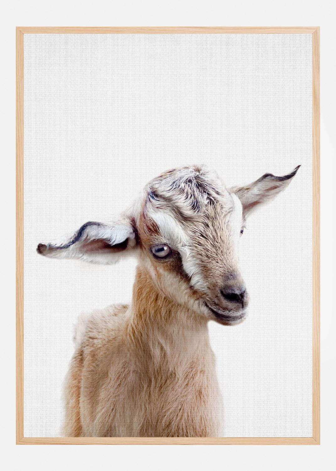 Product Image for Peekaboo Baby Goat Poster (70x100 cm)