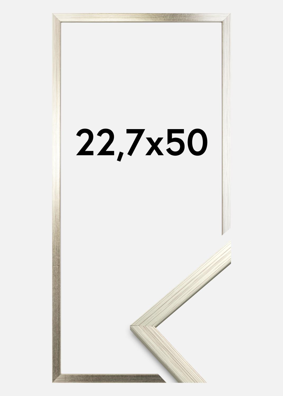 Product Image for Cadre Edsbyn Verre Acrylique Argent 22,7x50 cm