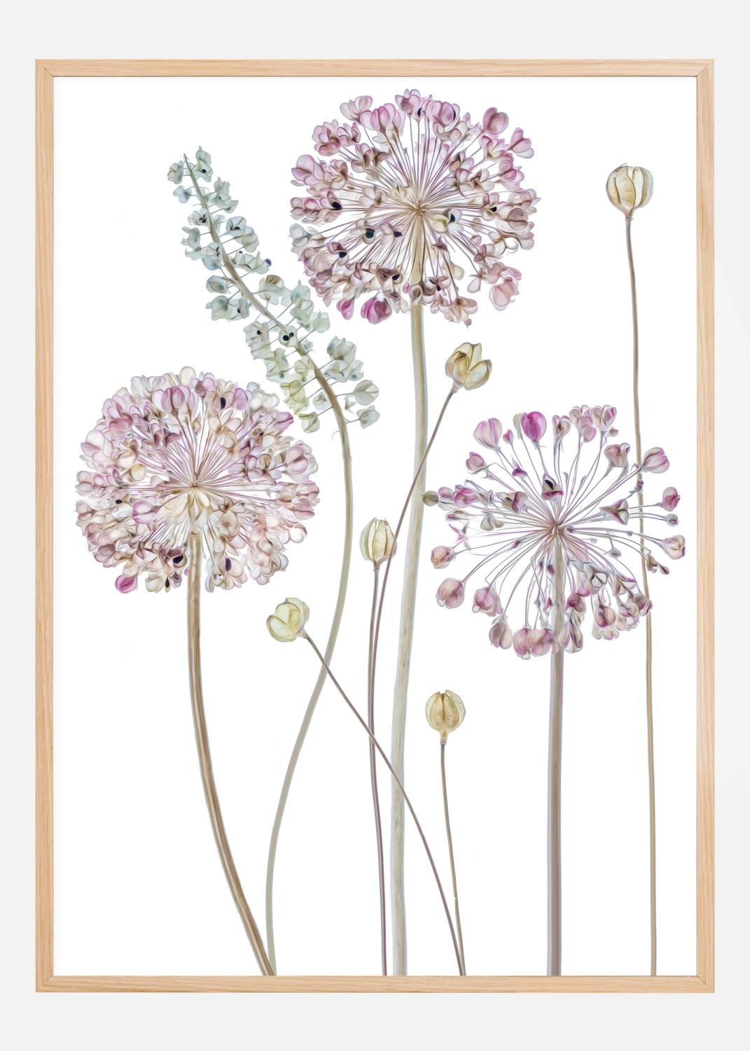 Product Image for Allium Poster (21x29.7 cm (A4))