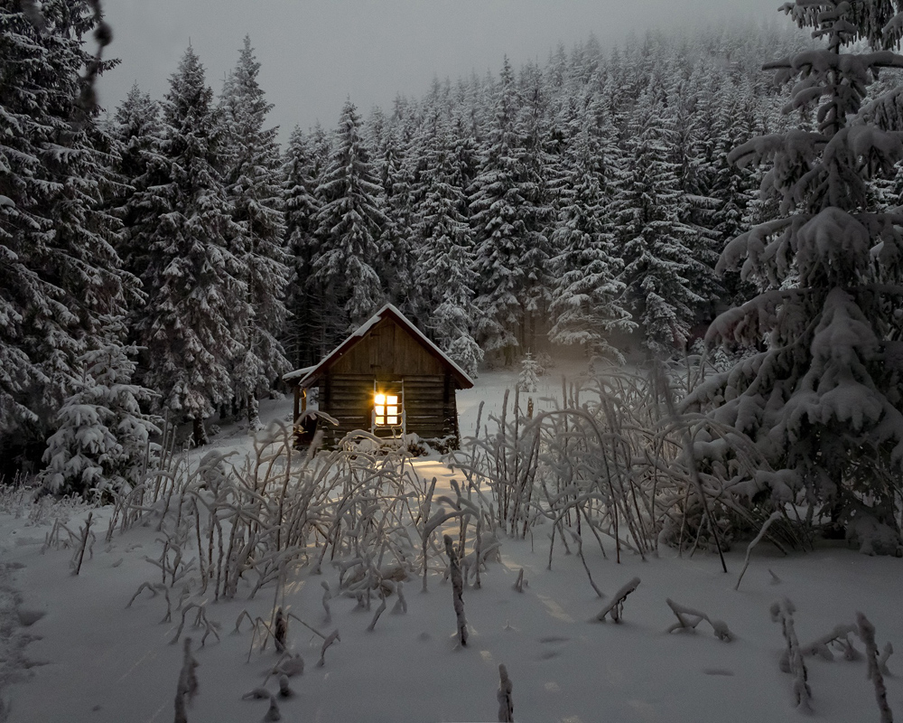 Chalet en plein hiver Poster
