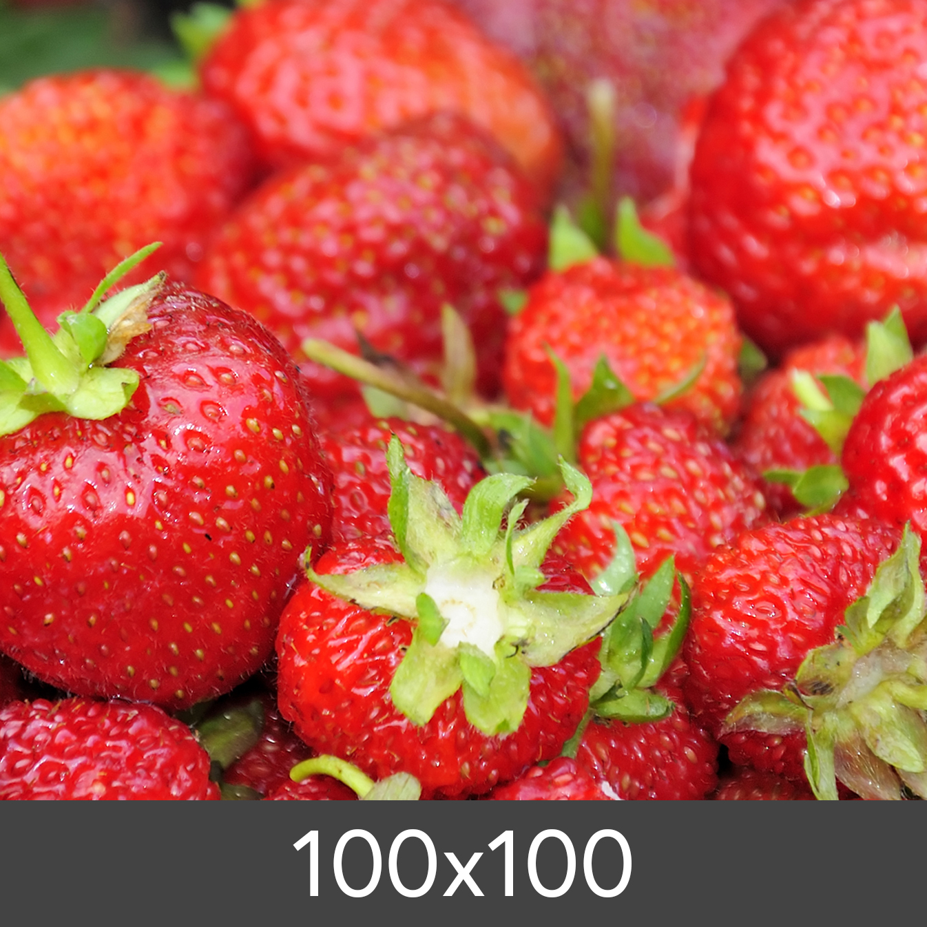 Product Image for Agrandissement Standard Photo Glossy 290 g (100x100 cm/Agrandissement - FineArt Photo Glossy)