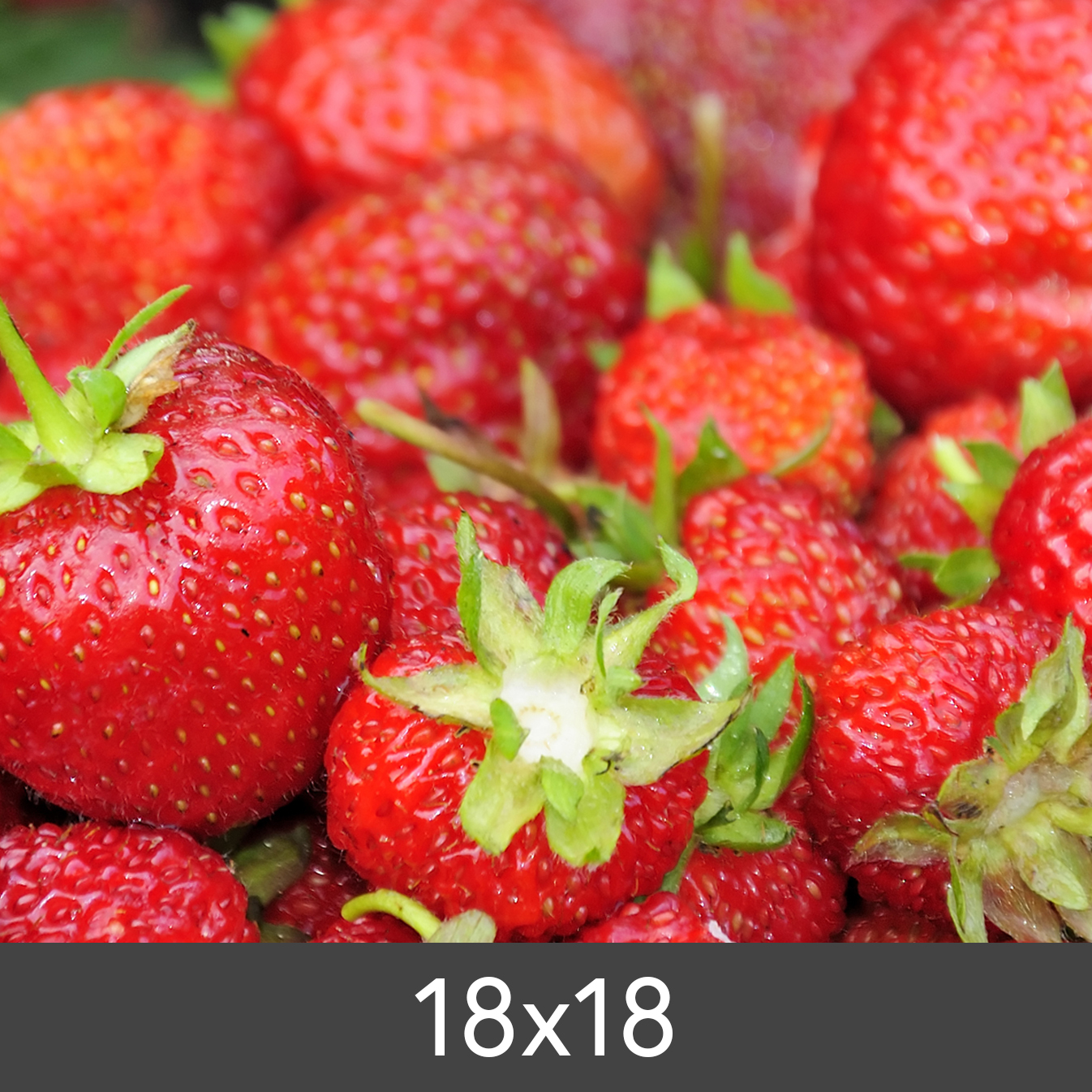 Product Image for Agrandissement Standard Photo Glossy 290 g